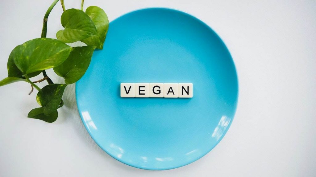 world vegan day