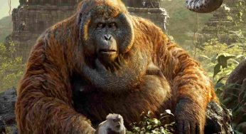 King Kong era un caro amico dell’uomo | Ecco com’era fatto il più grande primato della Terra