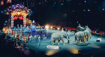 Violenza e scandalo nel circo, 2.100 detenuti | Grande polemica