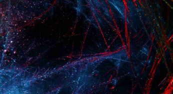Sarebbe possibile la vita senza energia? La risposta della scienza
