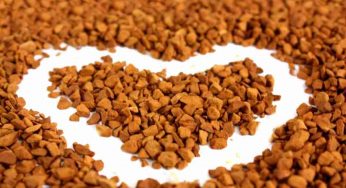 Quando prepari il cibo per il tuo cane o gatto evita questi errori: costano caro alla sua e alla tua salute
