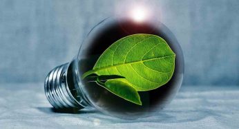 Come azzerare la bolletta della luce: così aiuti il portafoglio e l’ambiente