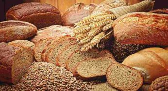 Pane raffermo? Riutilizzalo dall’antipasto al dolce: ricette golose a costo zero