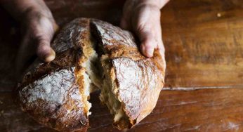 Il pane raffermo diventa una torta, la più buona che tu abbia mai mangiato