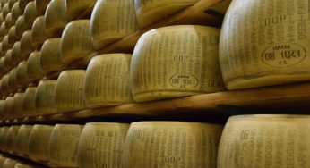 Parmigiano Reggiano nell’occhio del ciclone: le immagini sconvolgono i consumatori
