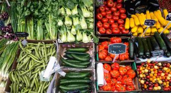 4 piatti primaverili veloci e leggeri con ingredienti stagionali