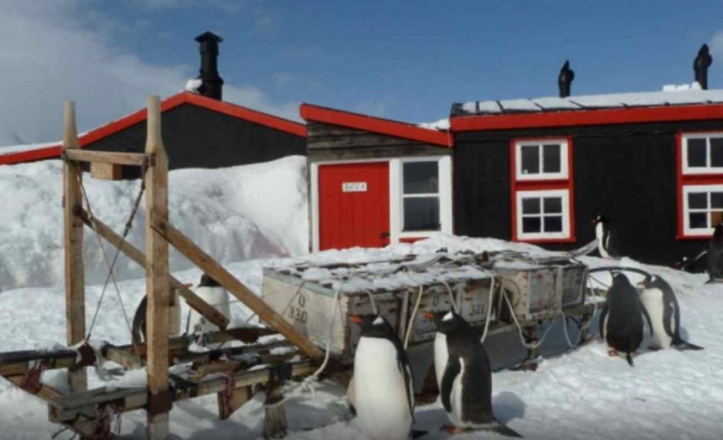 ufficio postale pinguini