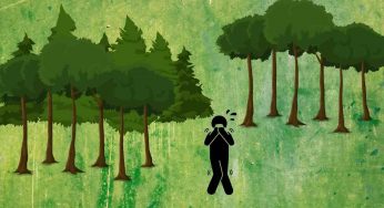 Trova la via di fuga dal bosco con la logica, è difficilissimo!