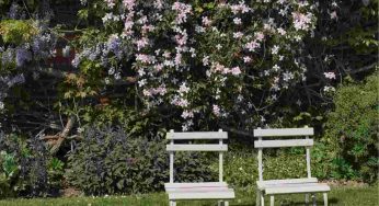 Un’invasione sta per travolgere il vostro giardino ma potete evitarla con l’aiuto di Madre Natura