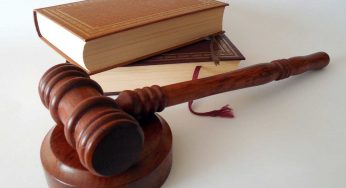Italia condannata dalla Corte di Giustizia europea: ecco le drammatiche accuse