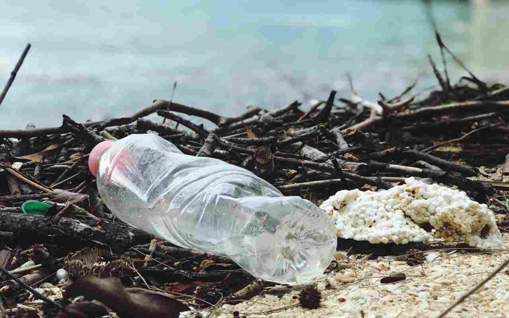 risultati della ricerca sulle bioplastiche