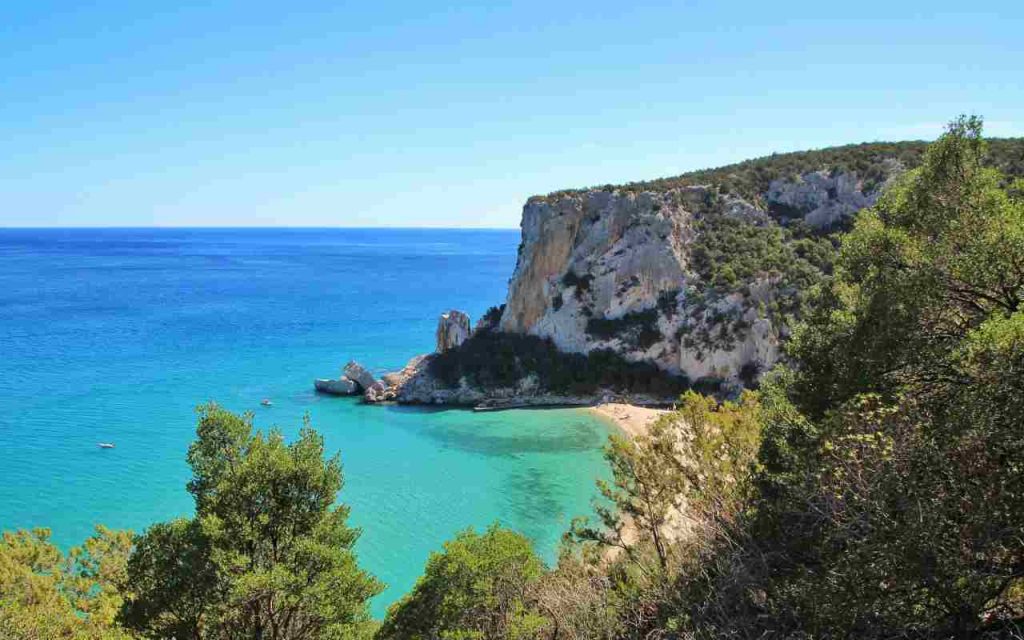 allerta cavallette in Sardegna