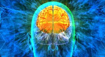 Lo mangi tutti i giorni? I danni al cervello saranno irreversibili