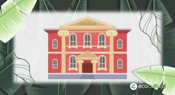 Furto al museo di scienze naturali: scova l’inganno!