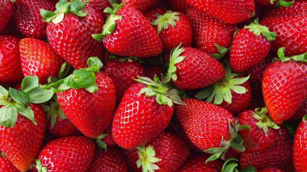 fragole