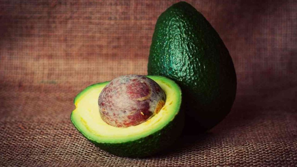 avocado