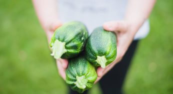 Il pasticciotto di zucchine che sta conquistando l’Italia: lo prepari in 5 minuti e con 5 ingredienti
