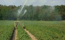 impianto irrigazione idea efficiente
