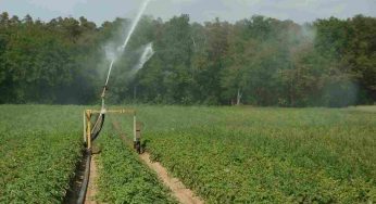 Ti basta solo un oggetto per fare un impianto di irrigazione per il giardino: l’arte del riciclo funziona!